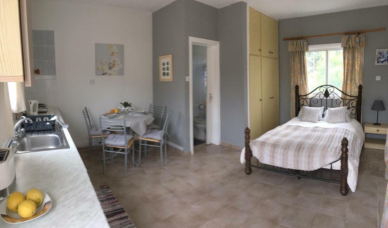 Detached Cozy Studio Paralimni Exterior photo